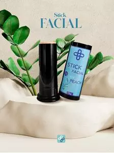 STICK FACIAL COM COR E FPS 75